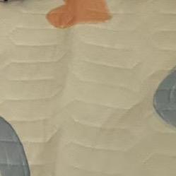 丽红超市官方茄蕾号