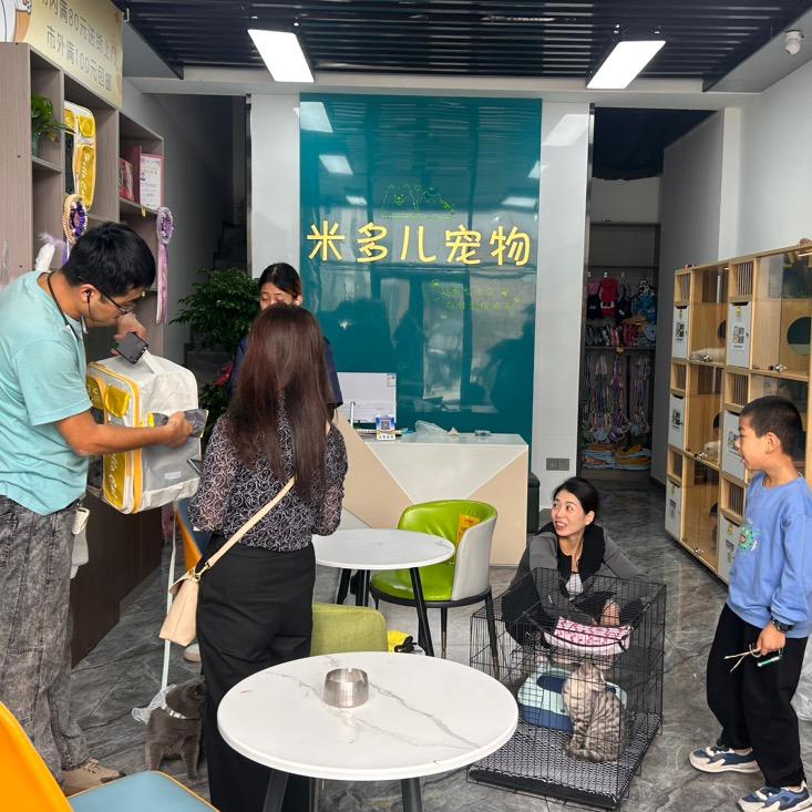 万辉国际米多儿宠物店解决宠物掉毛问题