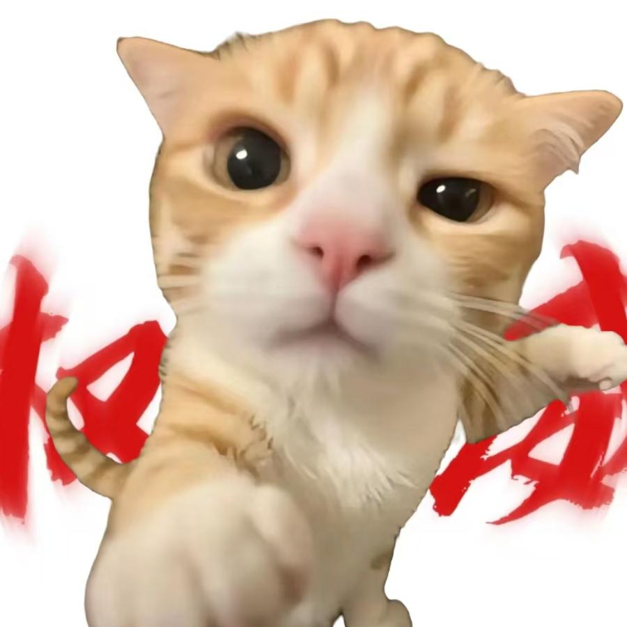 别惹我