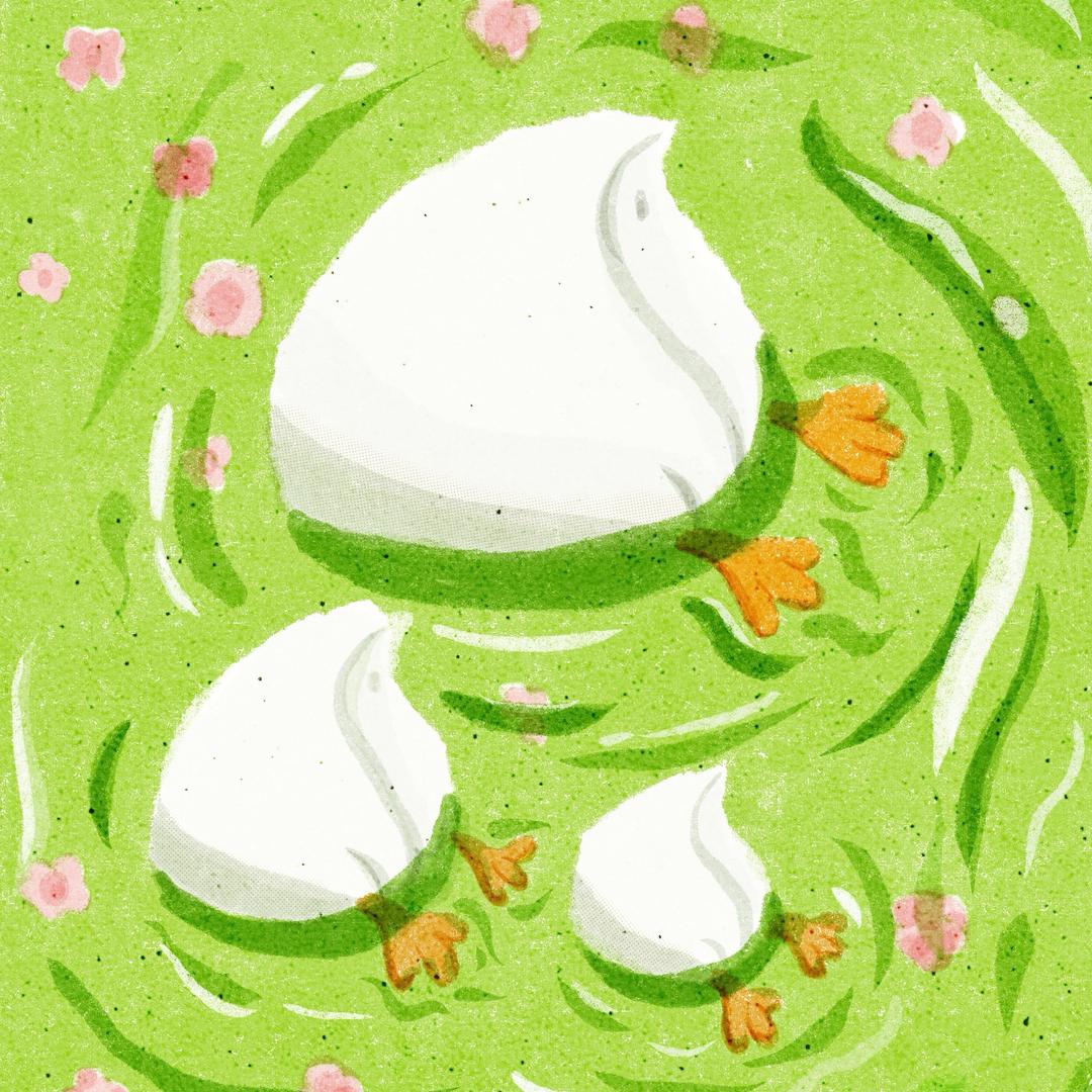 考研辅导-大福学姐