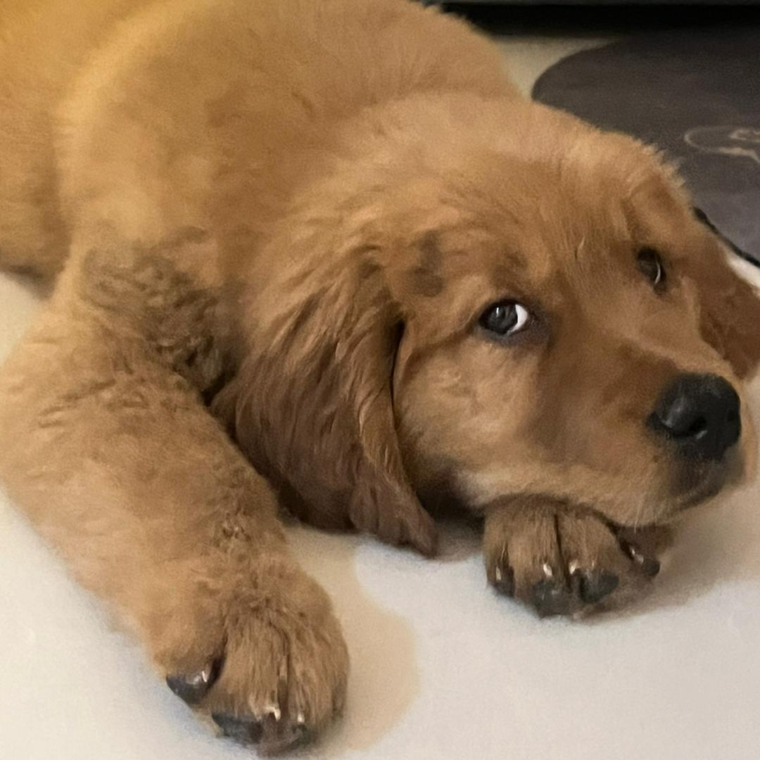 邪恶老抽小富贵儿～