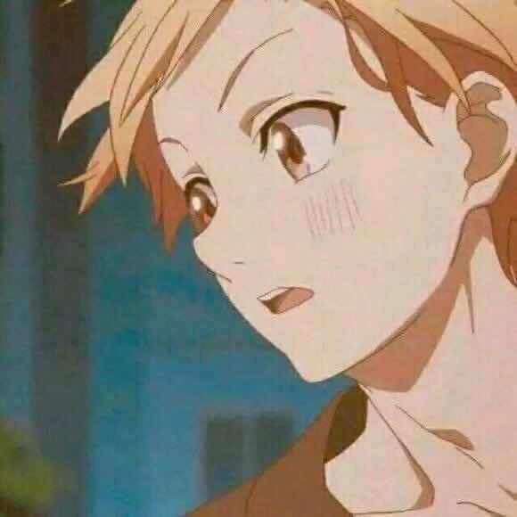 鸡仔鸡仔在哪里