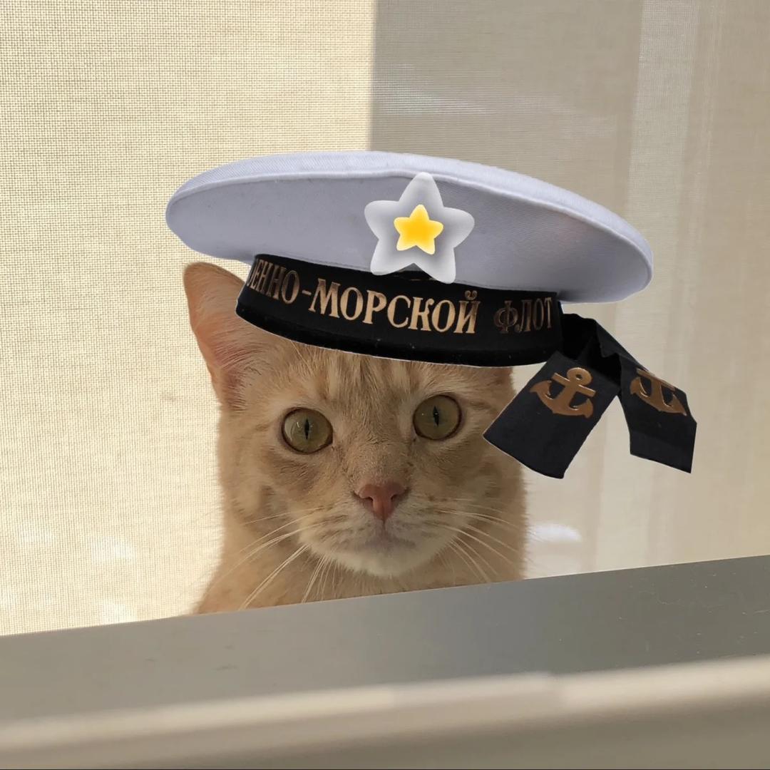 -战舰波将金-