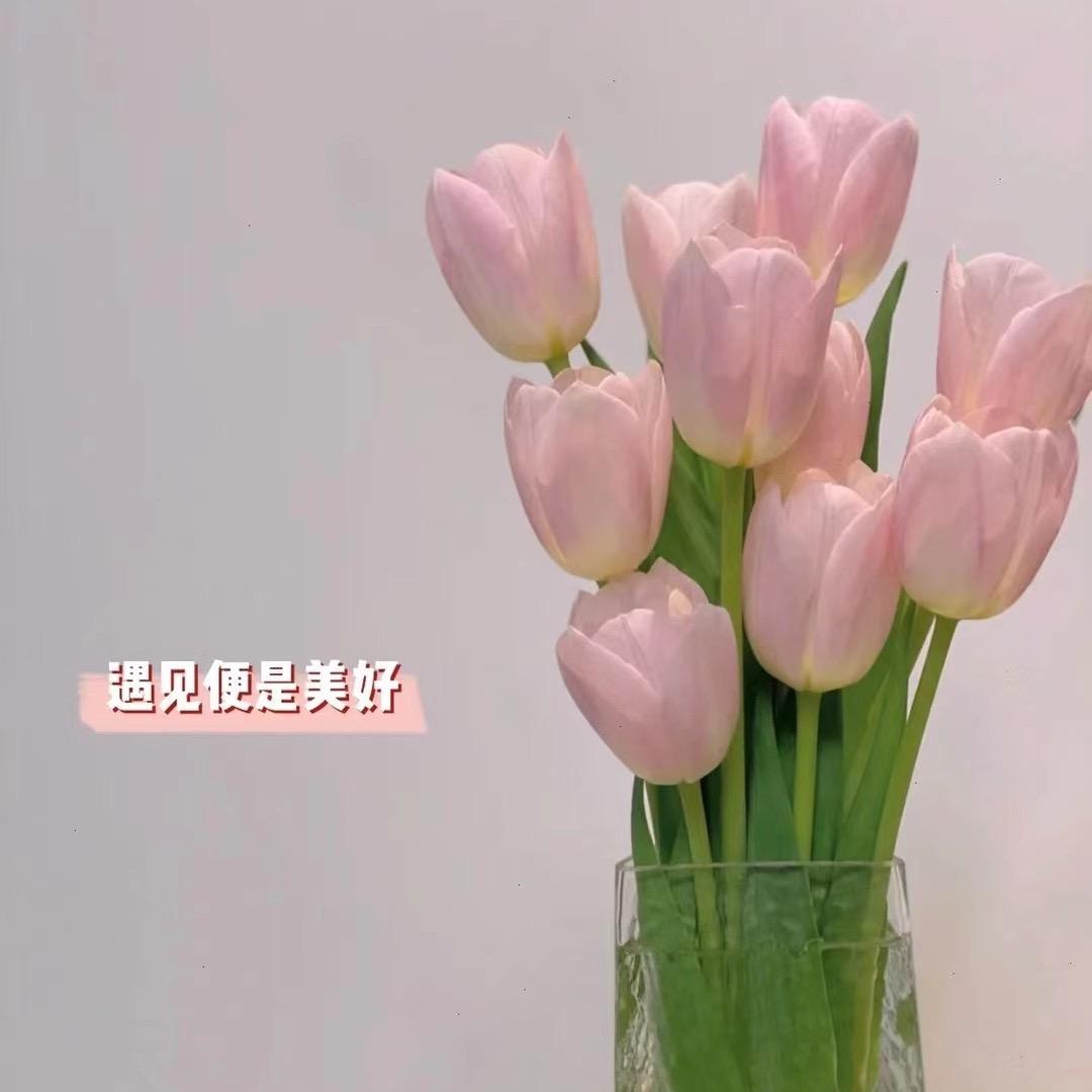请叫我宝宝
