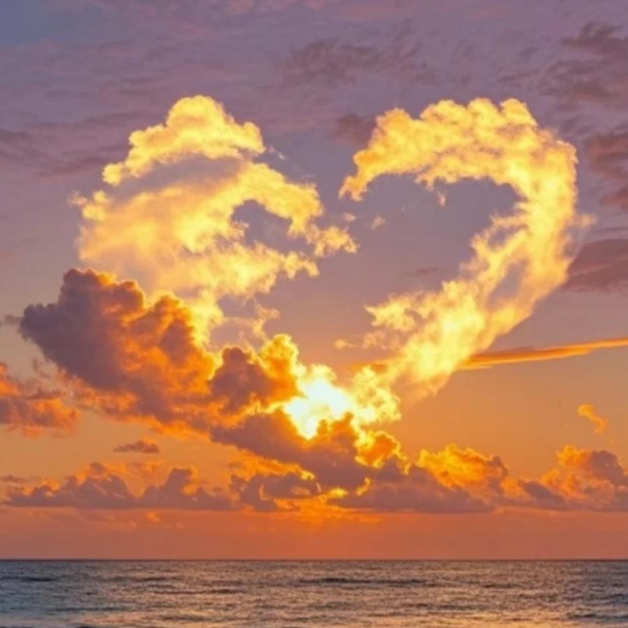 Y💕Y