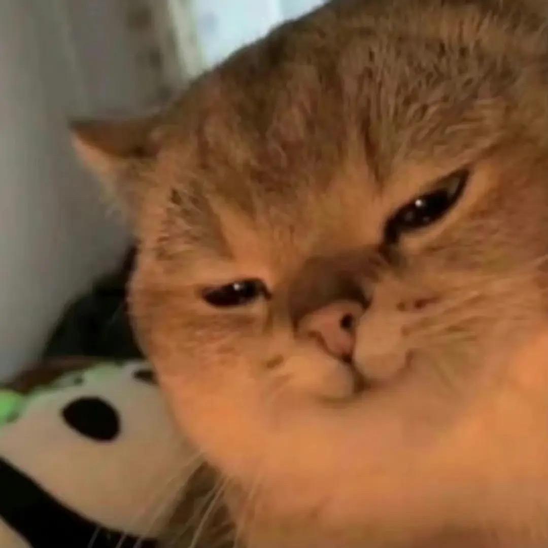 say丨