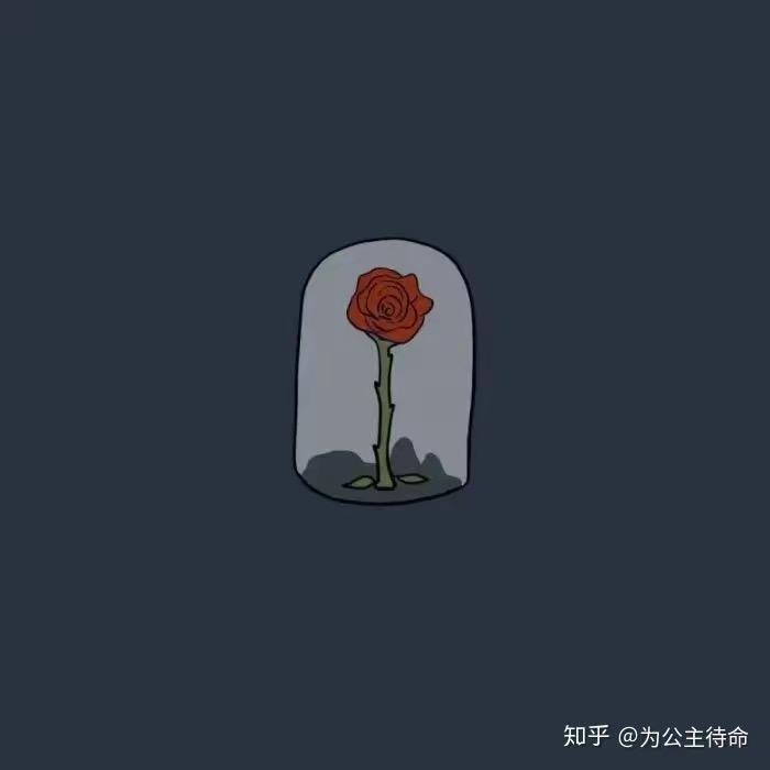 不加糖-