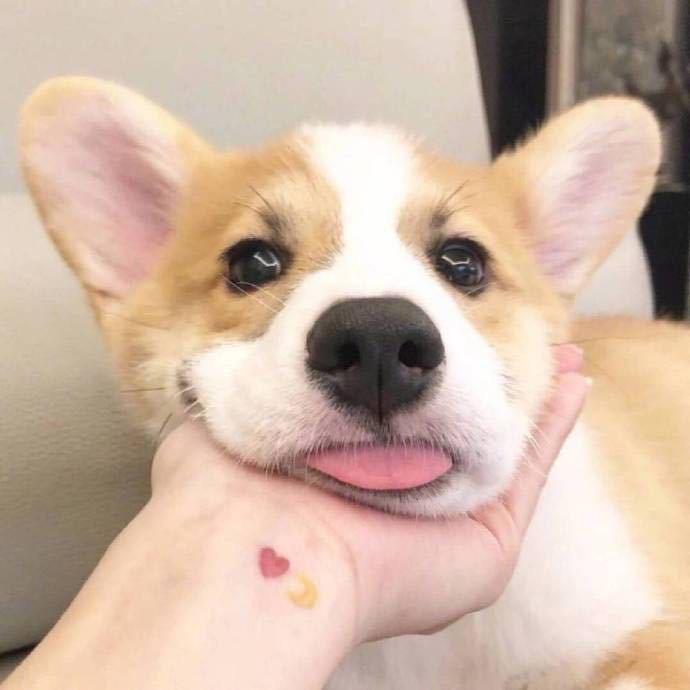 温州莫内女装工作室