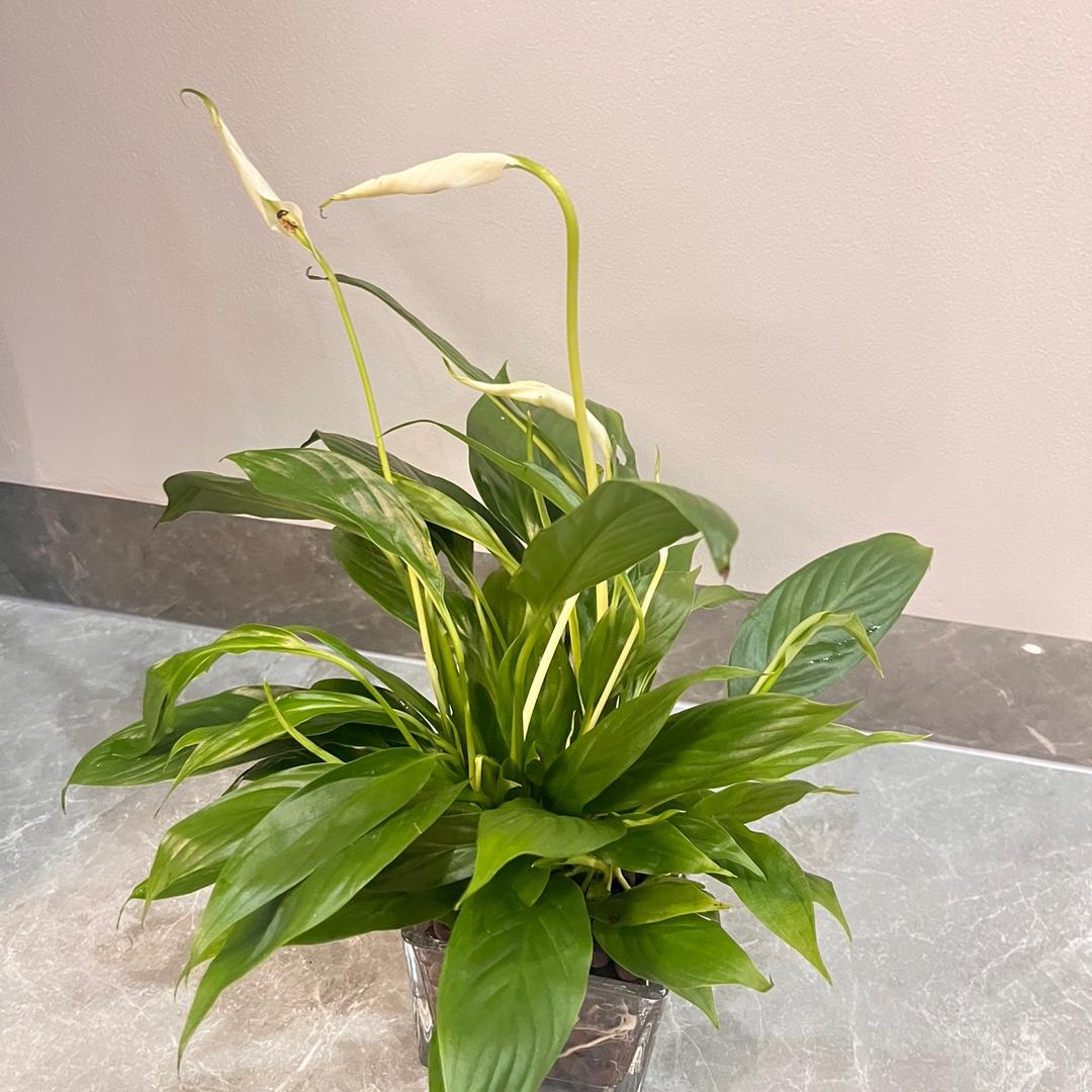 三和副食批发部(长堤路)专用号