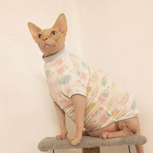 虎三养猫日记