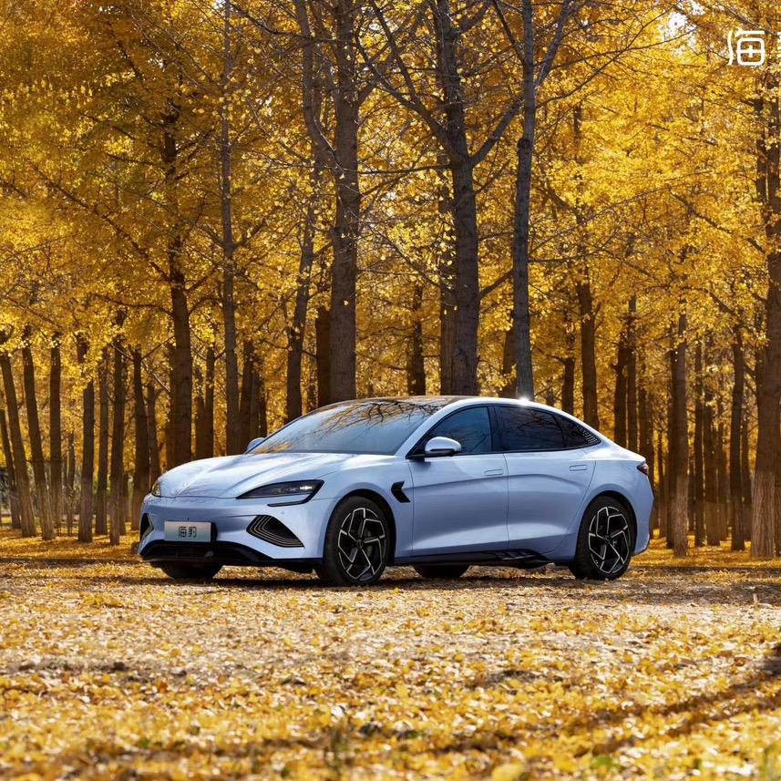 比亚迪汽车海洋网（新港澜洲商超店）