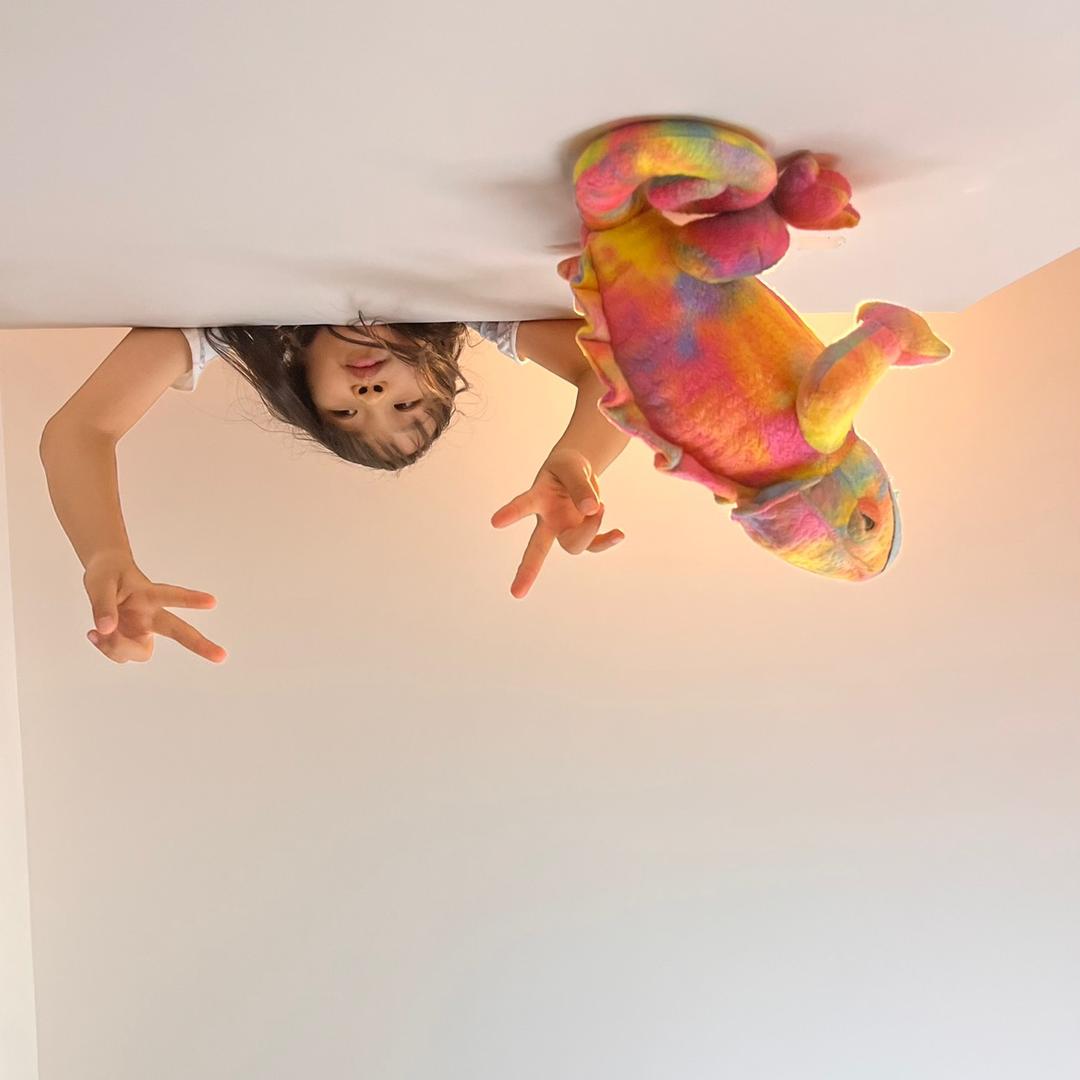 花不尽•永生花工作室