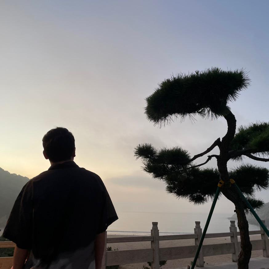 早上田田