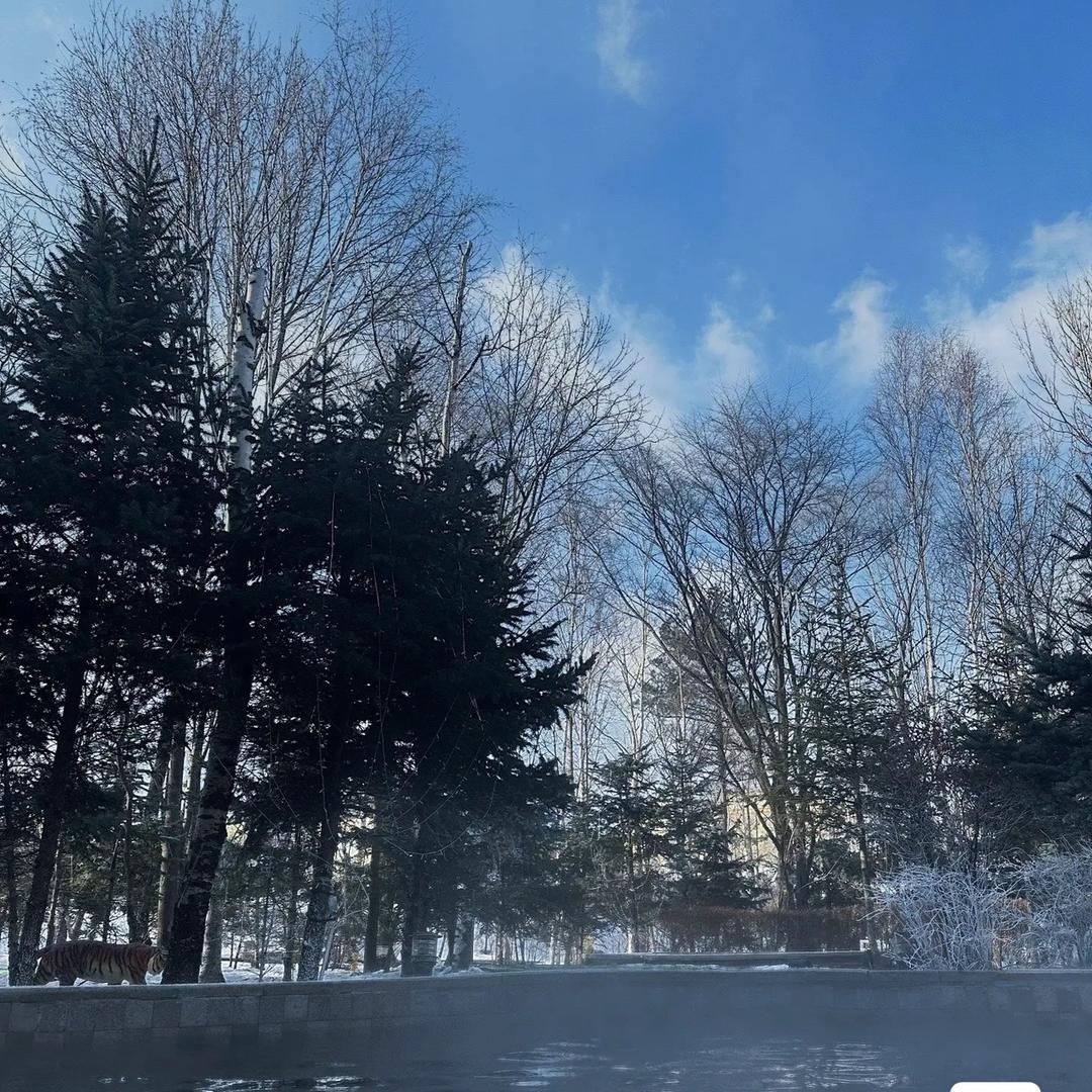 老九亚布力雪乡定制游