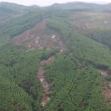 易学师择日、评日子《收徒》