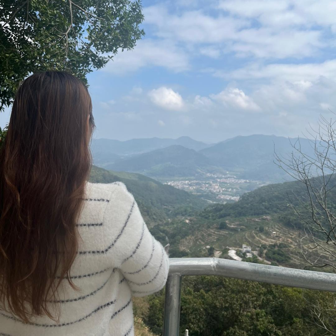 白茶清欢