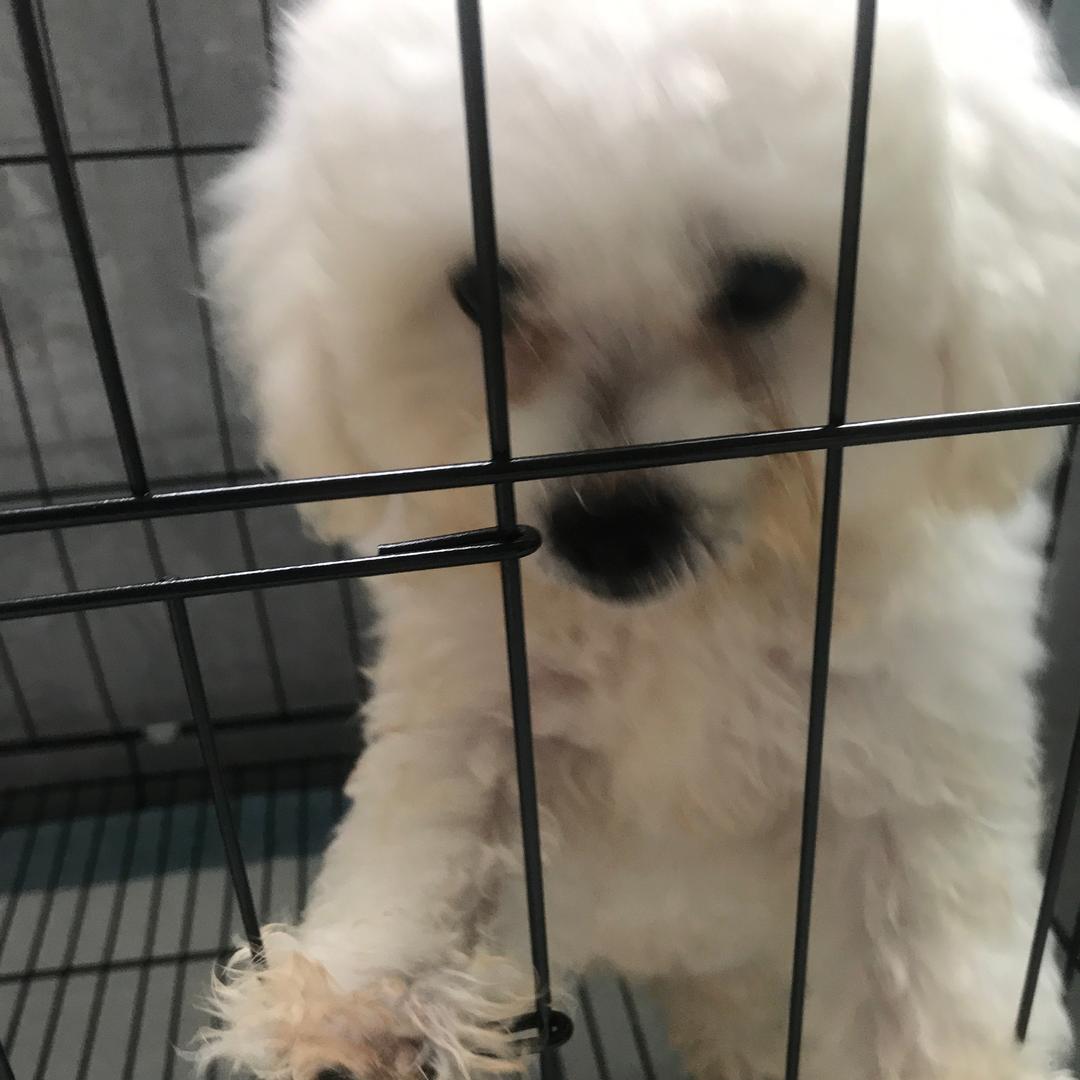 宁鸣百货