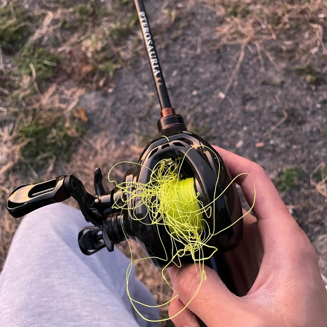 张仔爱钓鱼🎣