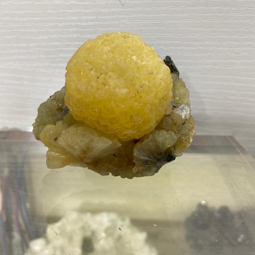清水煮白菜
