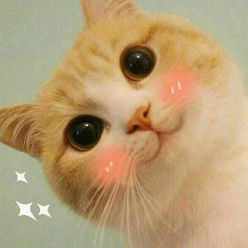 小喵家清货号