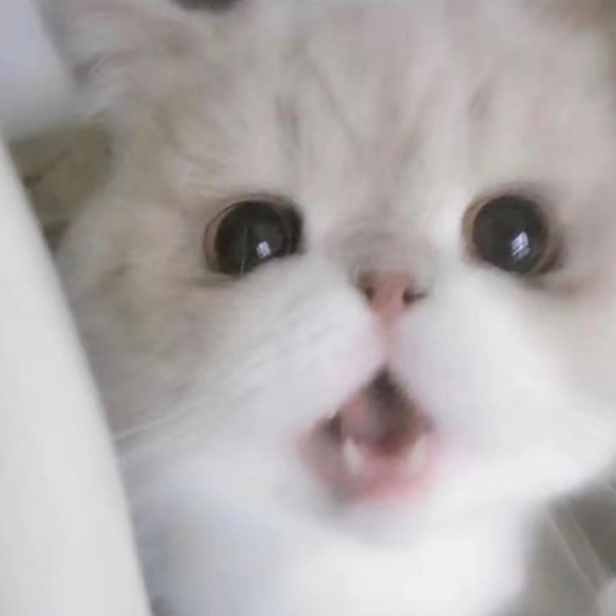 悠🐟