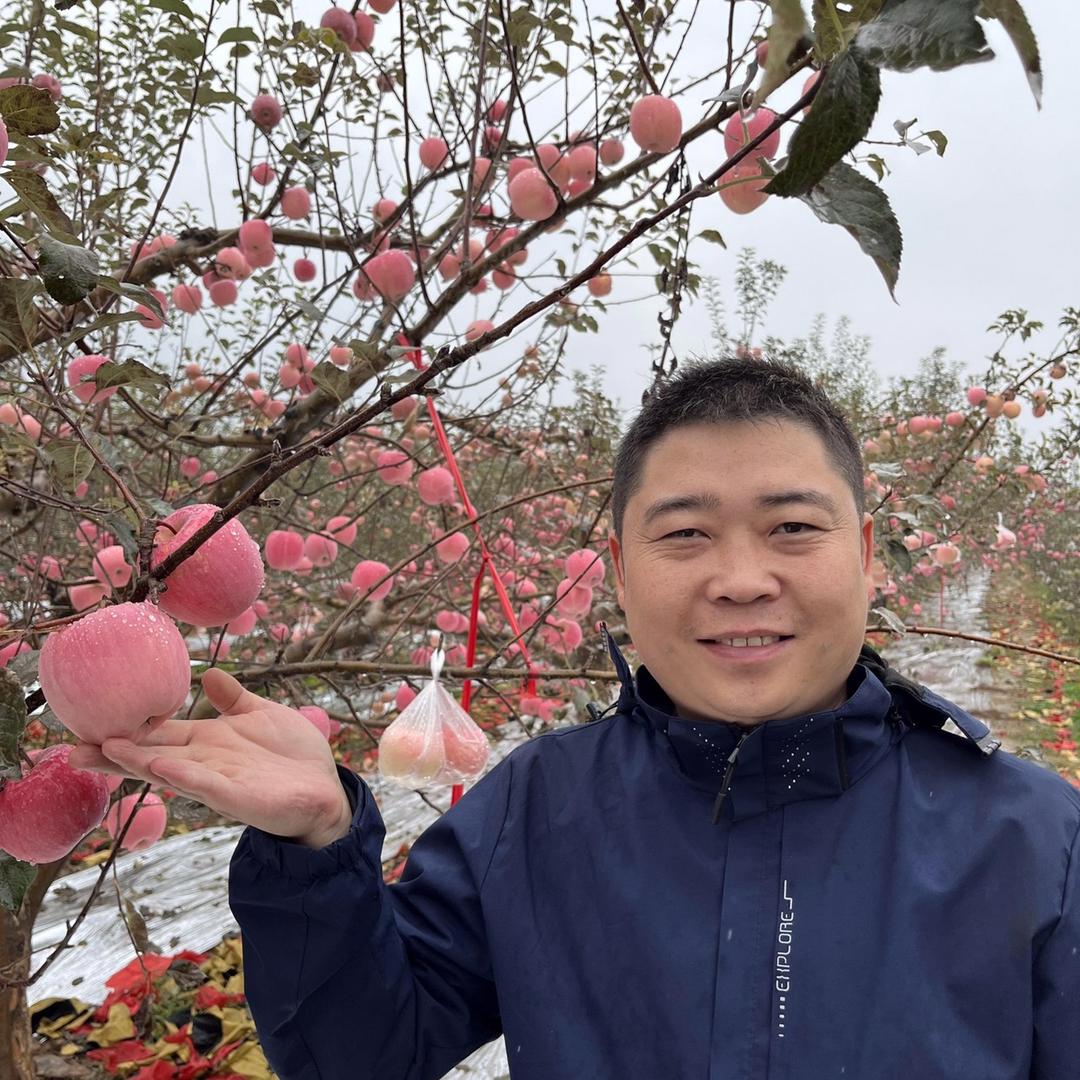 大林科学种植