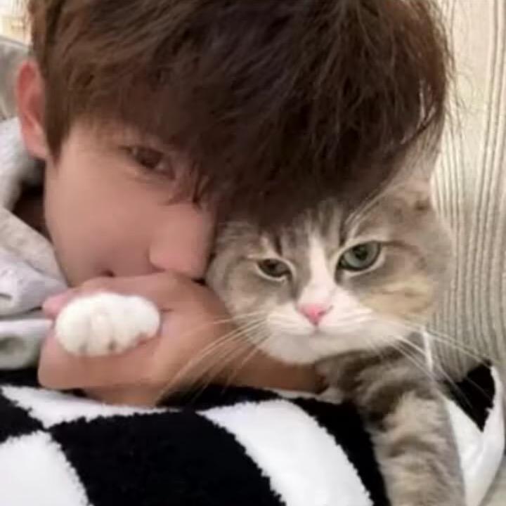 ㅤㅤㅤㅤㅤ十七