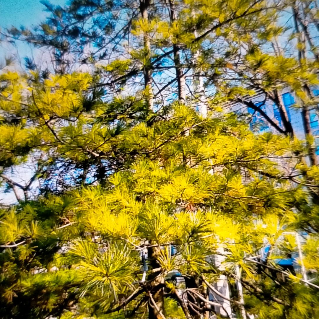 小山