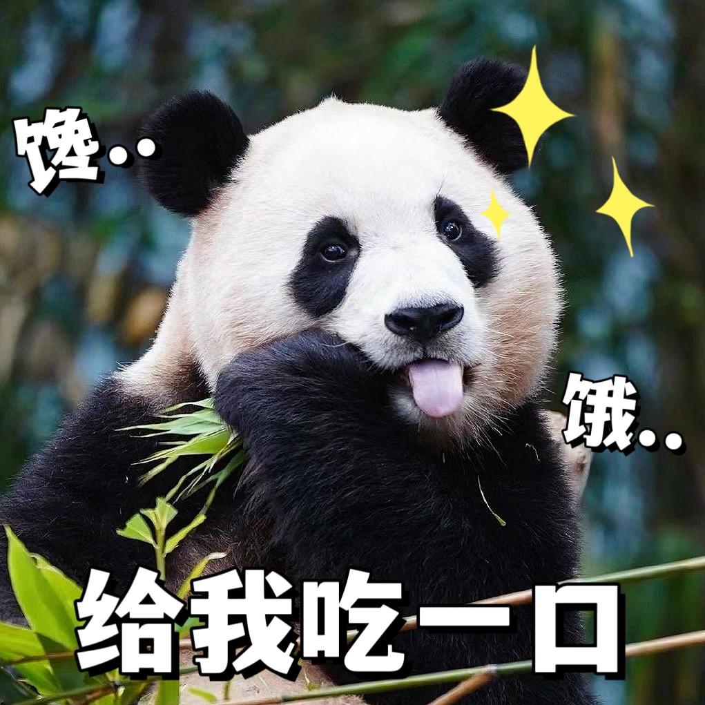 熊猫小剧场