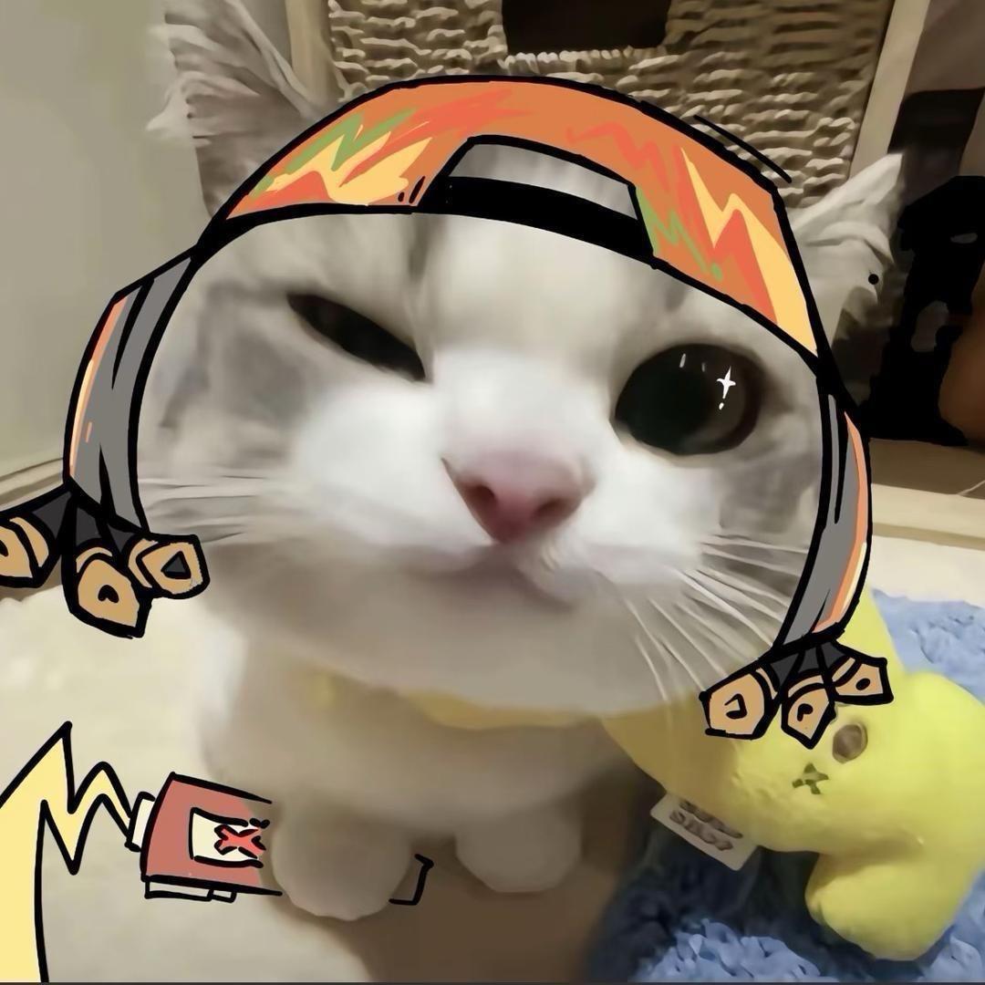 炸弹猫（告白版）