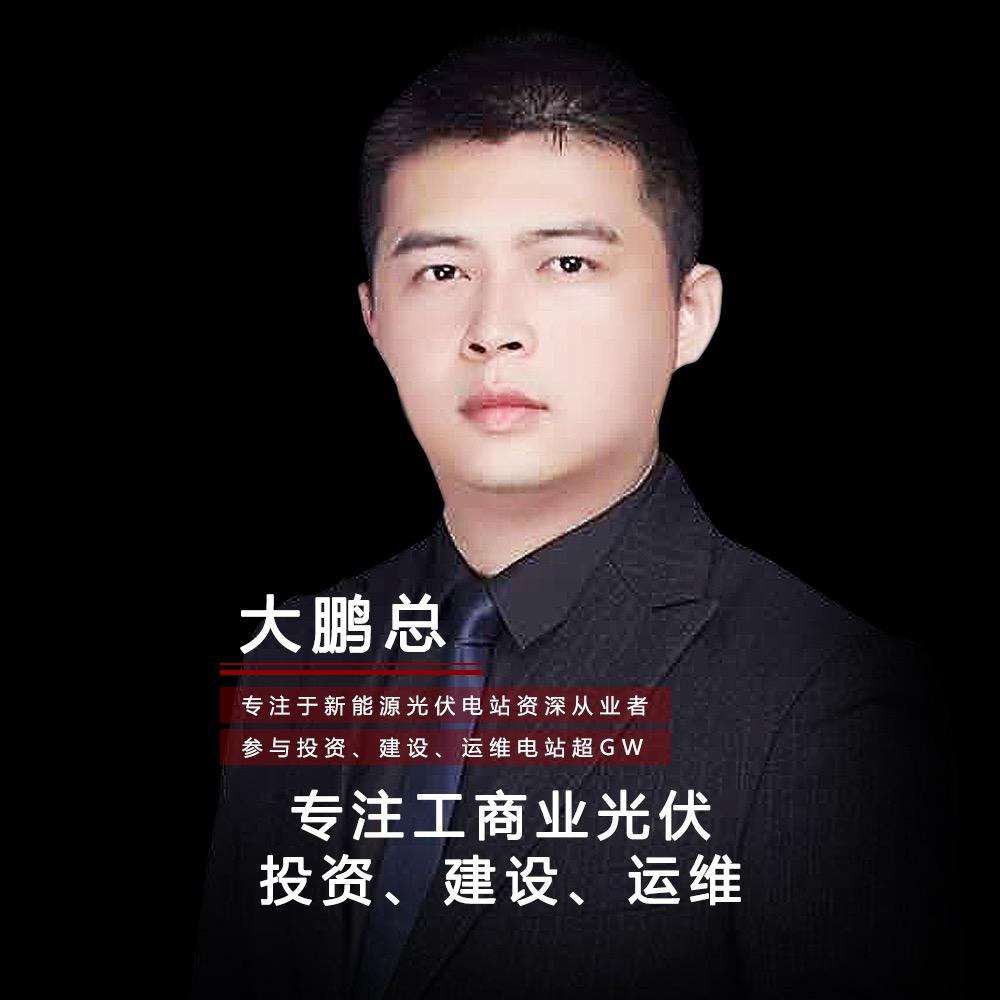 光伏大鹏总-敏敏