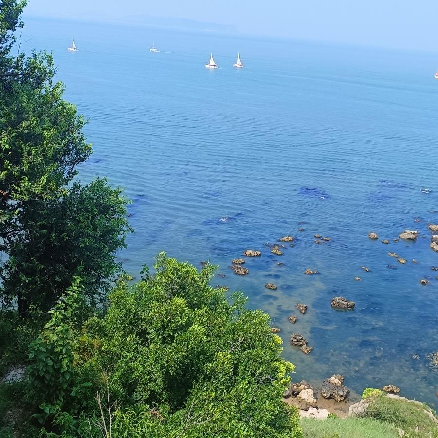 海洋之心