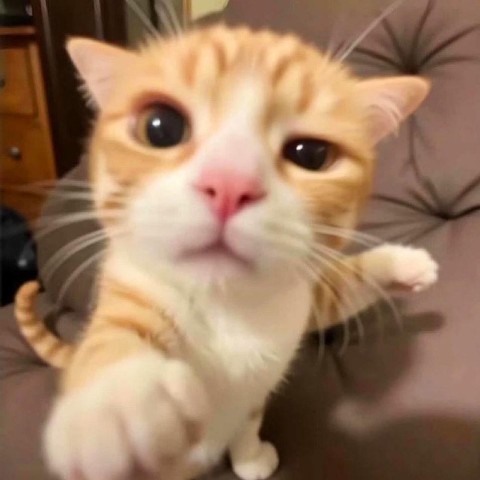 小夏还要更加努力