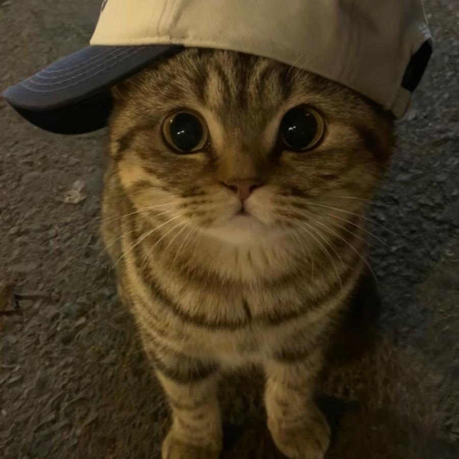 🌈一见到你就脸红