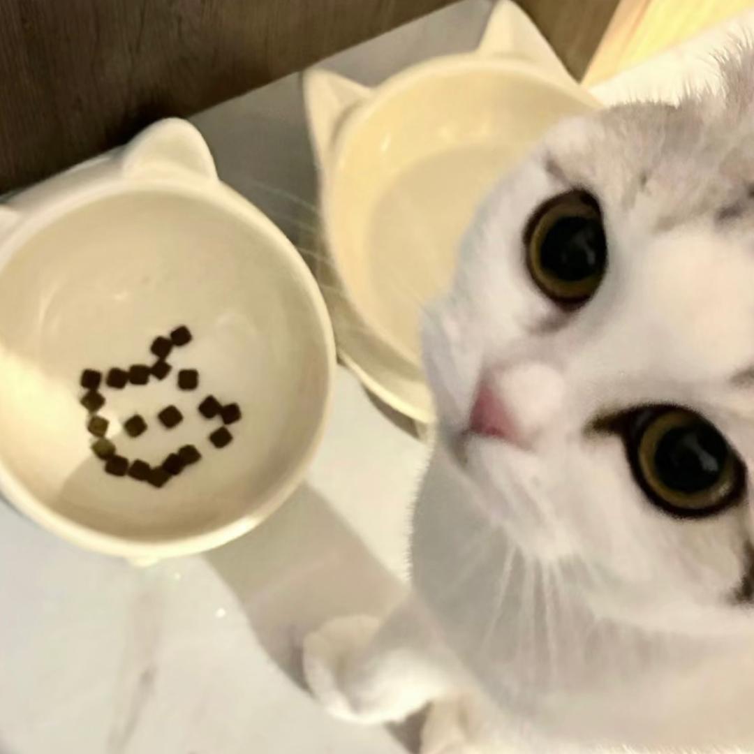 一串烤鱼