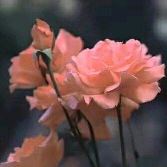 成功