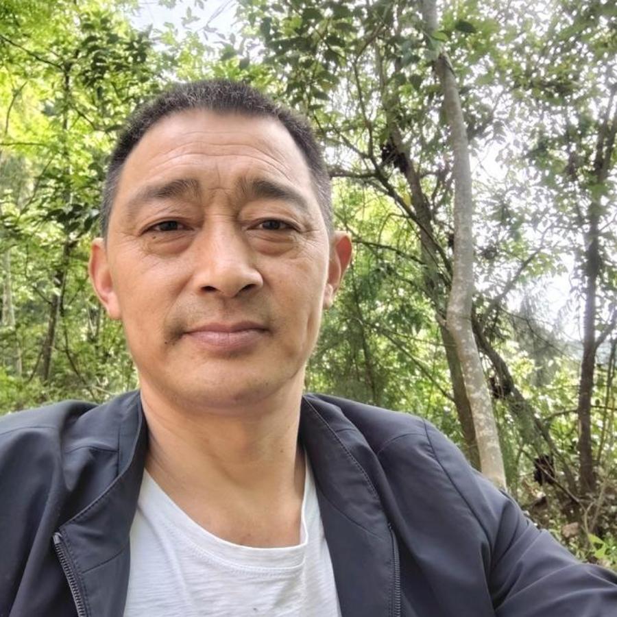 杨灿灿
