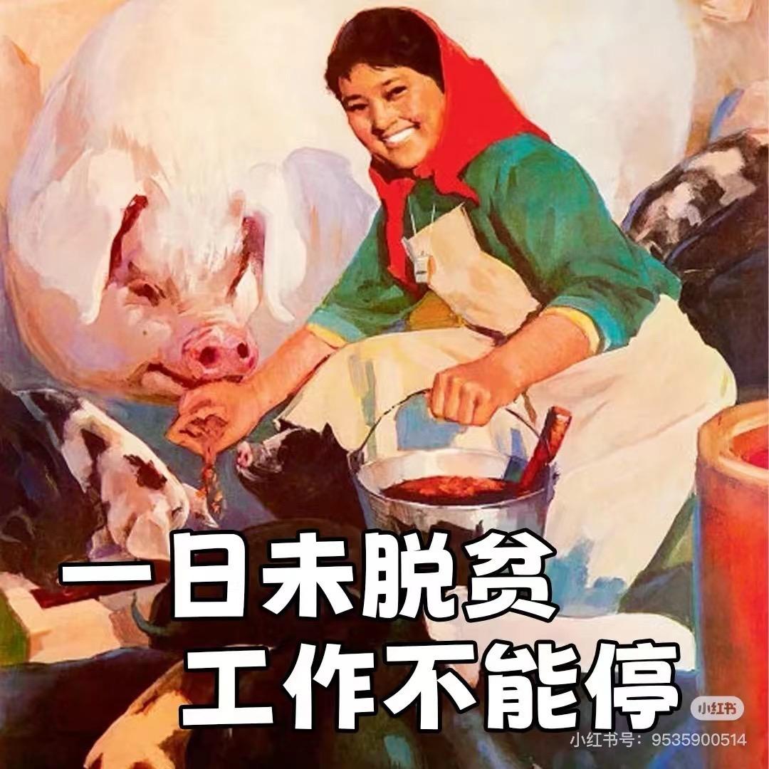 橘子味儿汽水🥤