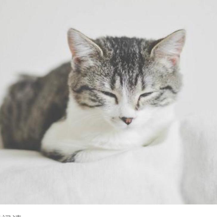 好山好水好名字