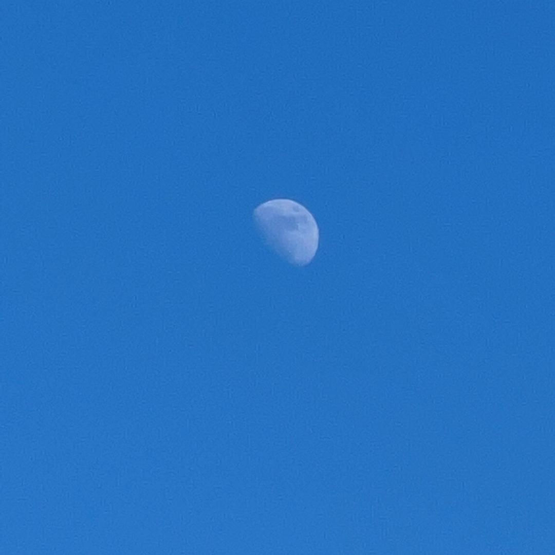 一个散修