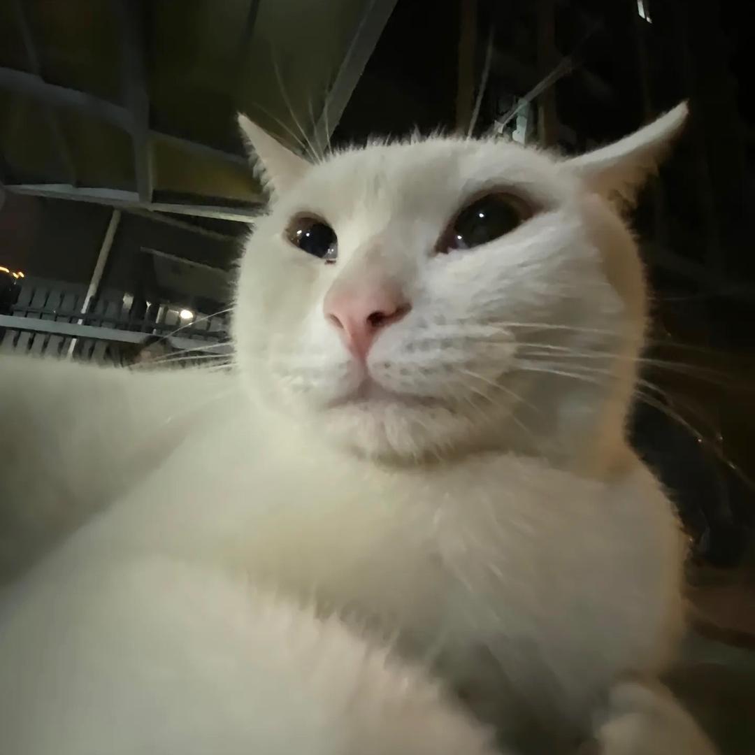 Jiujiu（无畏契约）