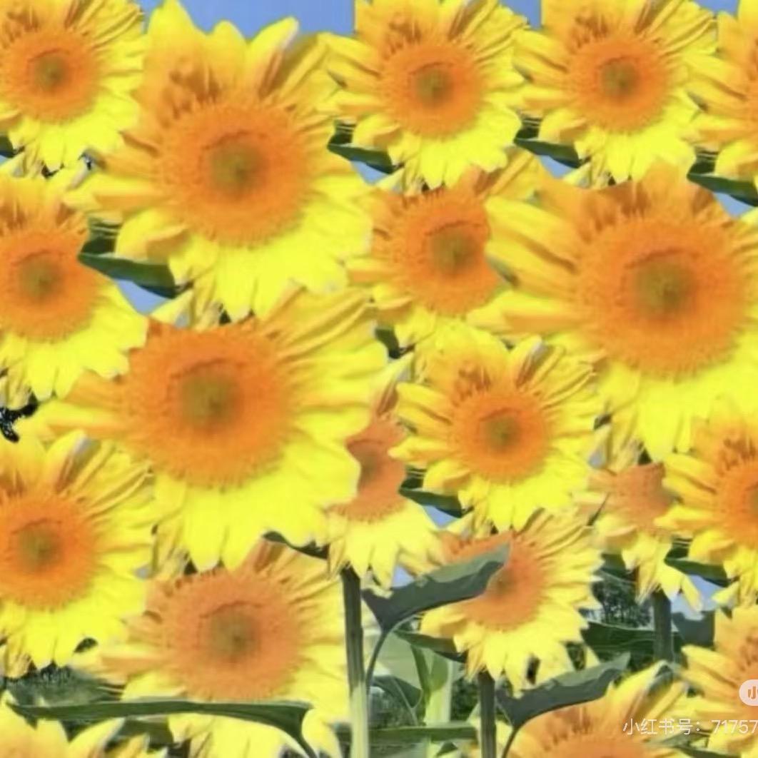 PTE7炸💥💥💥💥💥💥💥