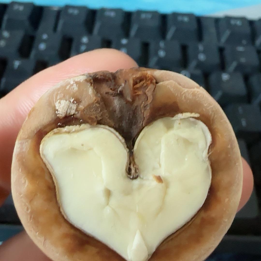 爱玩的桃桃