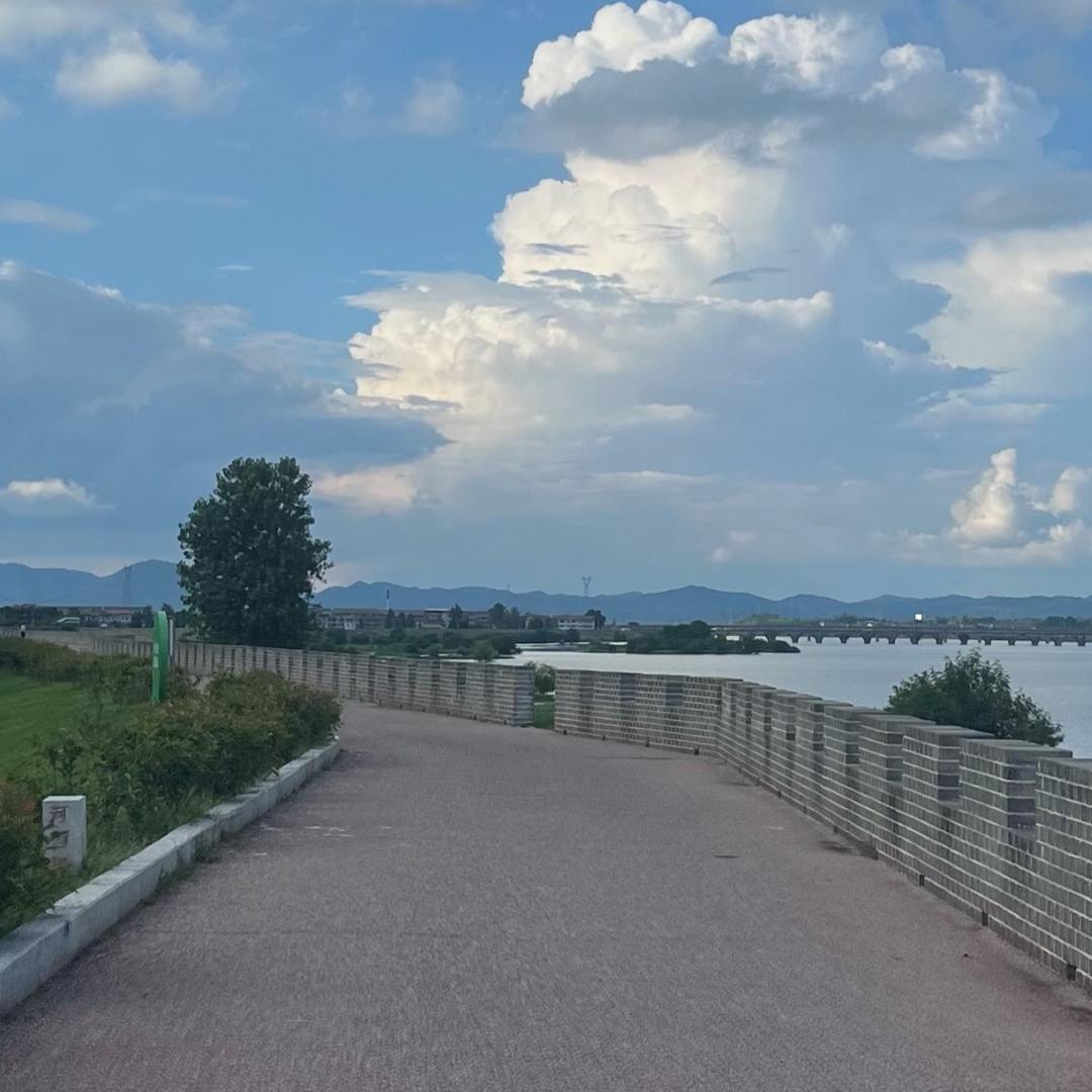 任我行
