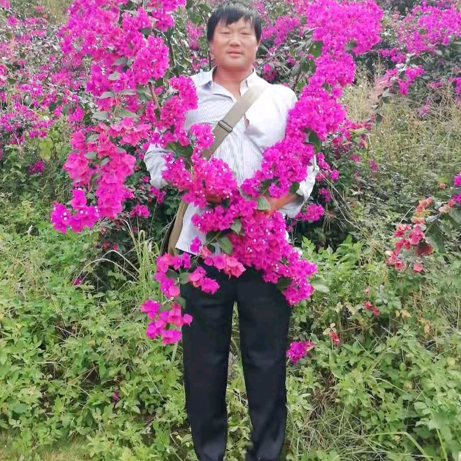 扶手