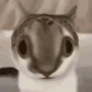 七个隆咚锵咚锵