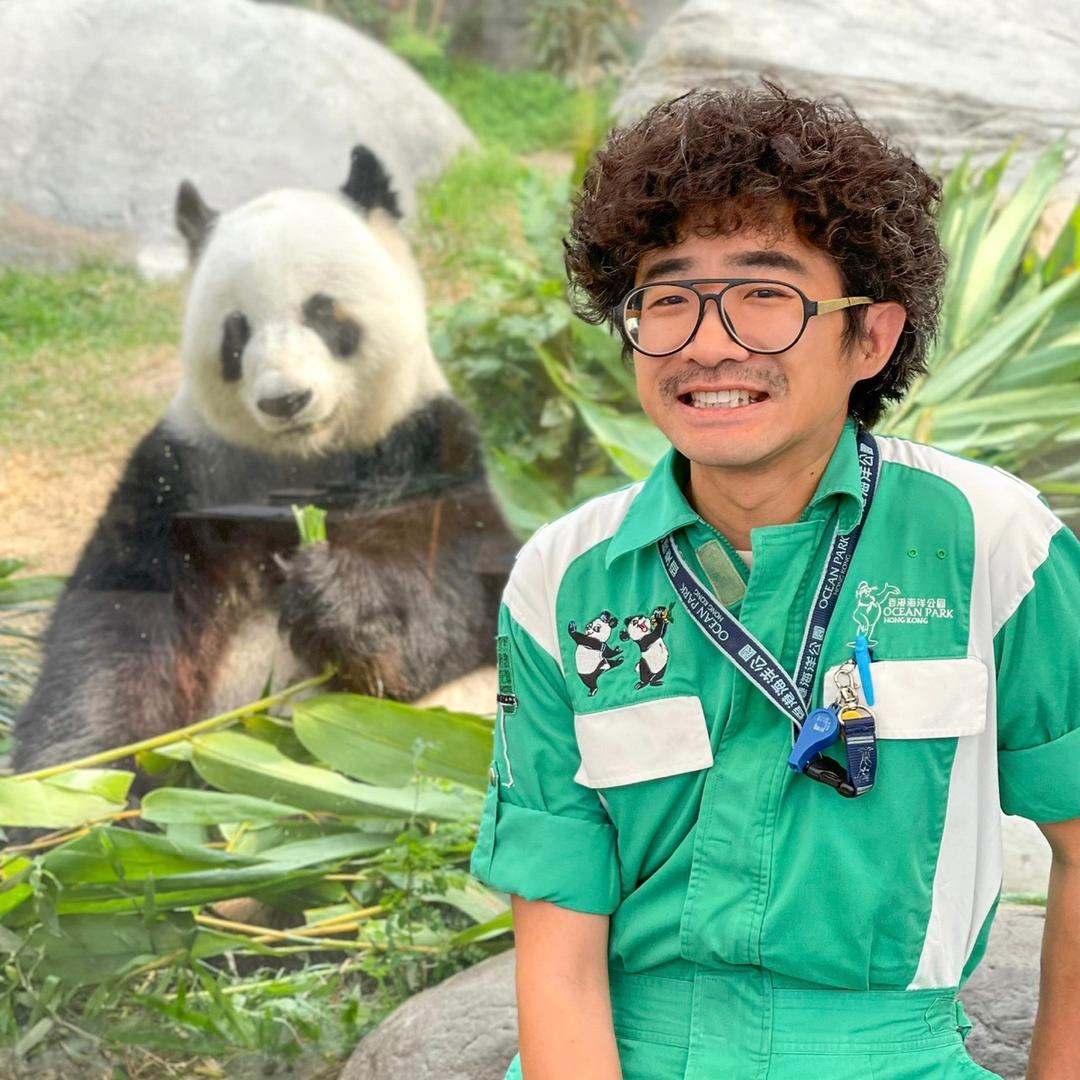 香港熊猫奶爸