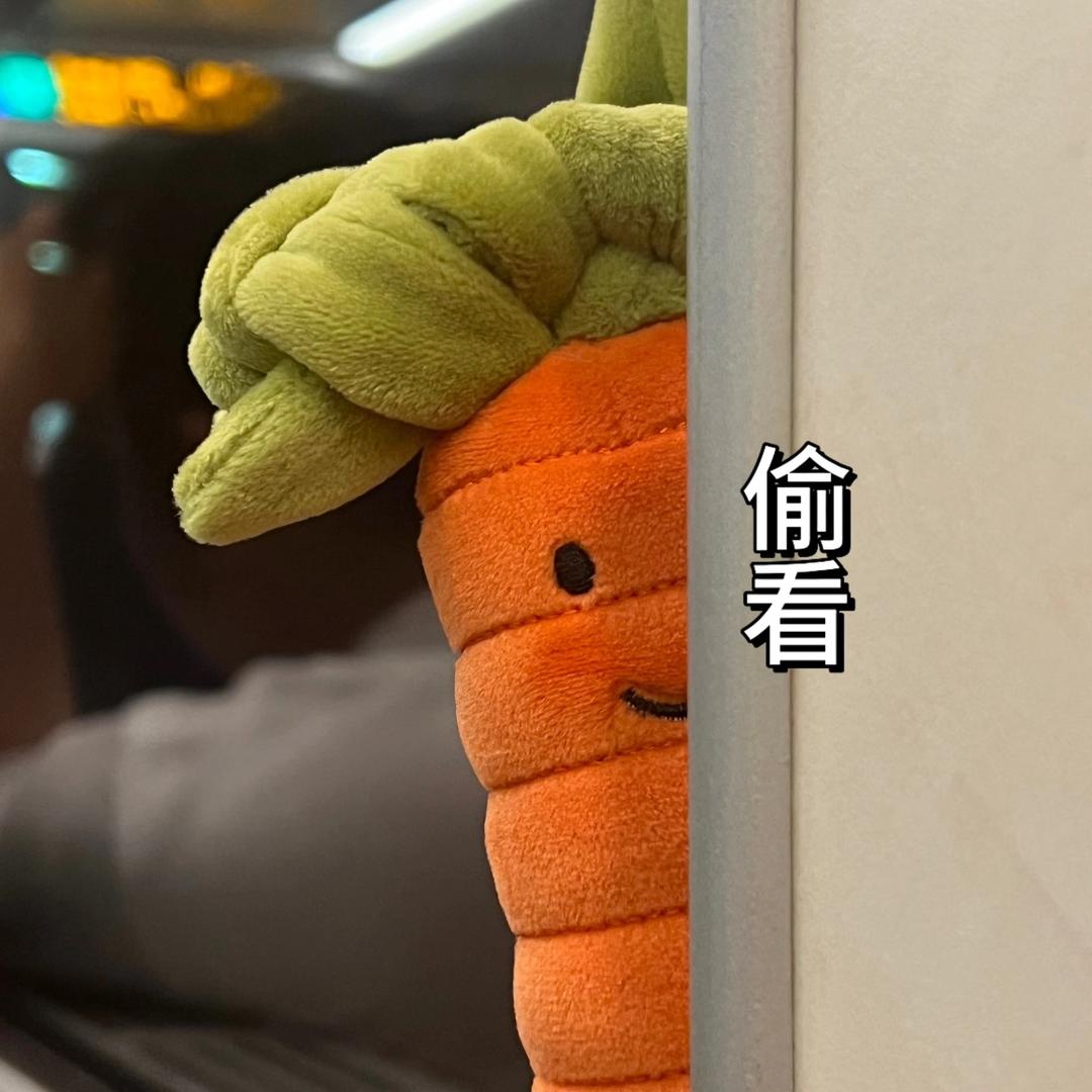 胡萝卜糊了🥕
