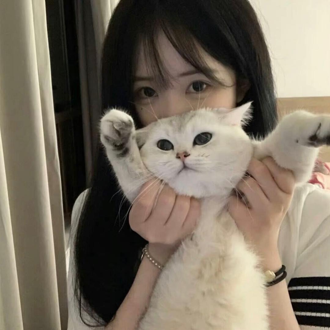 小小湫