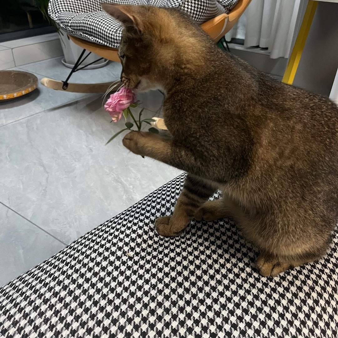 我是阿华